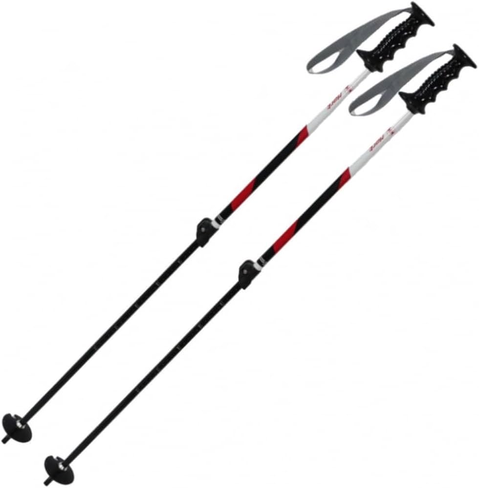 Amazon | HART(ハート) スキー ポール クエストAJSチーム 伸縮ポール