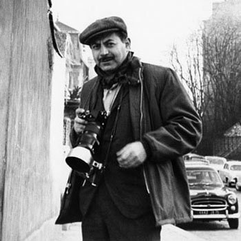 Amazon.co.jp: ポスター サム ショー マリリン モンロー フラワー