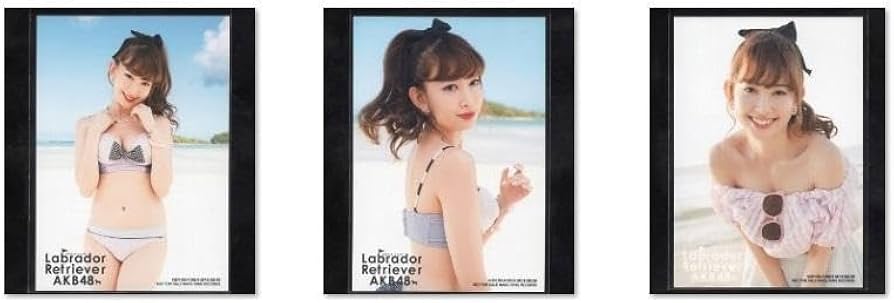 Amazon.co.jp: 小嶋陽菜 AKB48『ラブラドールレトリバー』通常盤 封入