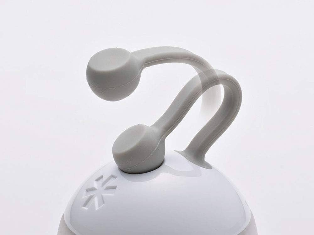 Amazon.co.jp: スノーピーク(snow peak)【ステッカー付】 LEDランタン