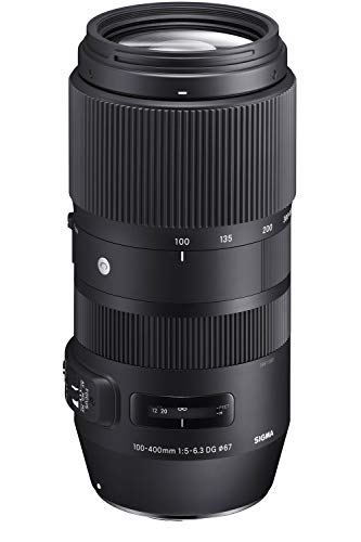 TAMRON 100-400mm Di VC USDのレビューです。 | つづれやノぶろぐ