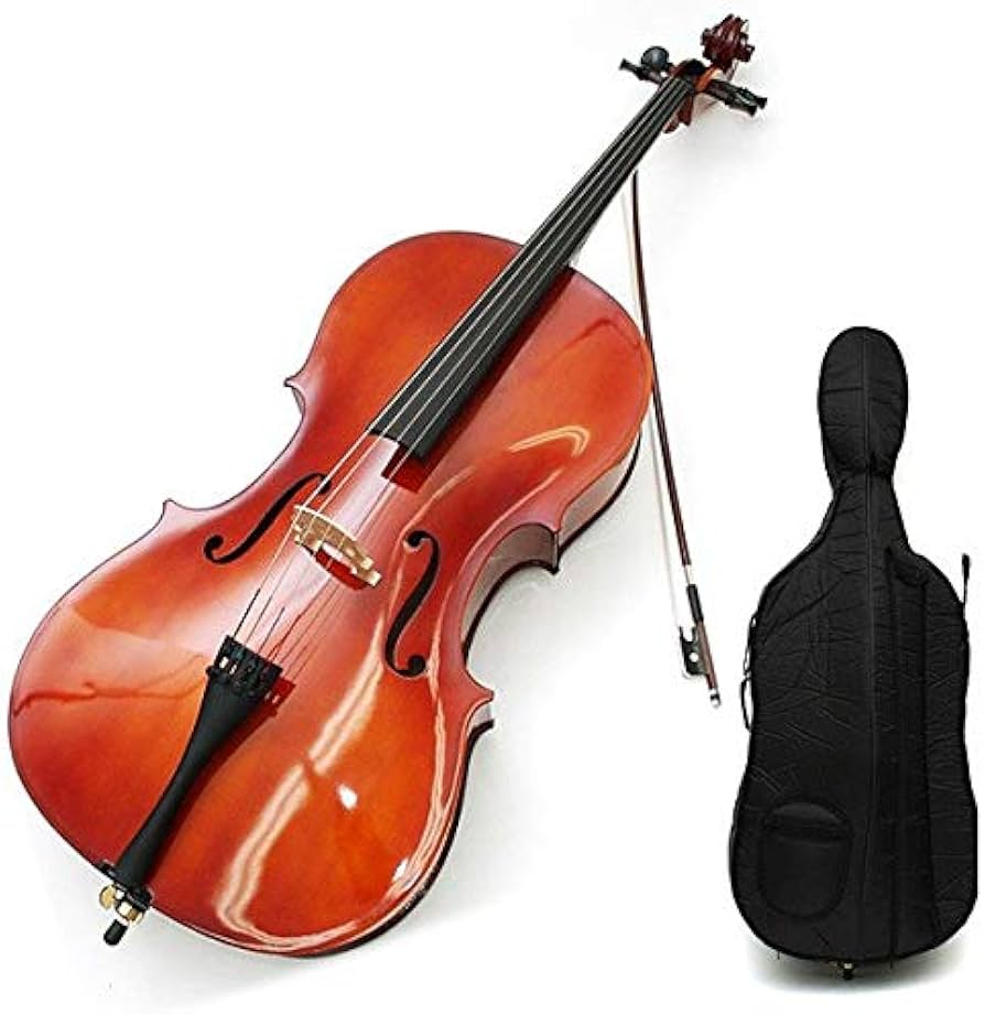 Amazon | カルロジョルダーノ チェロアウトフィット SC-100 4/4