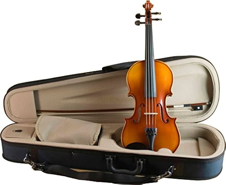 Amazon | 鈴木 アウトフィット バイオリン No.230 4/4 | 弓 | 楽器