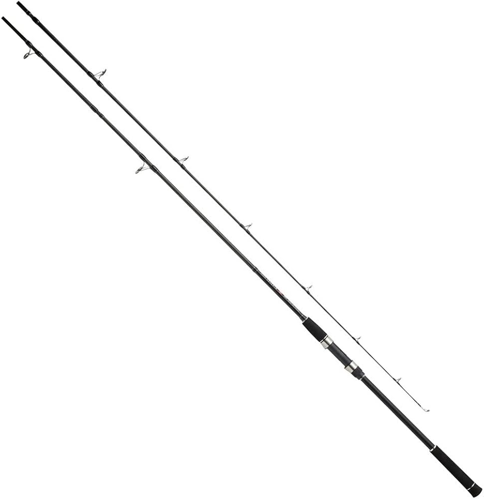 Amazon | PRO MARINE CB レジェスタショアジグ SJ 96MH | プロマリン