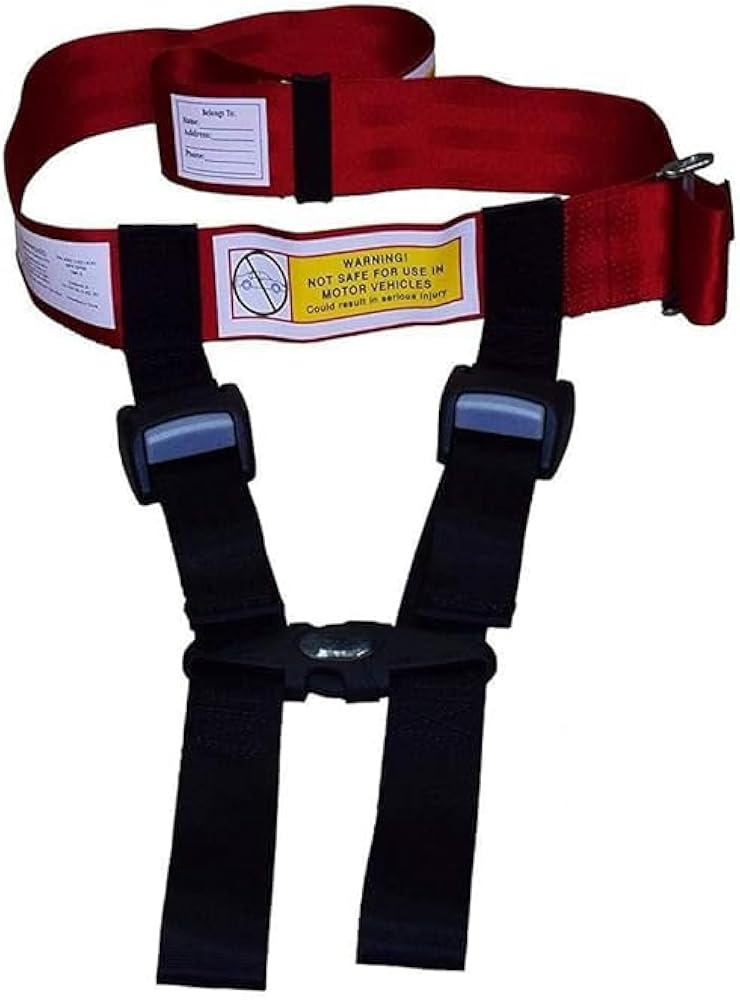 Amazon.com : Newroutes Child Airplane Safety Harness - The Safety