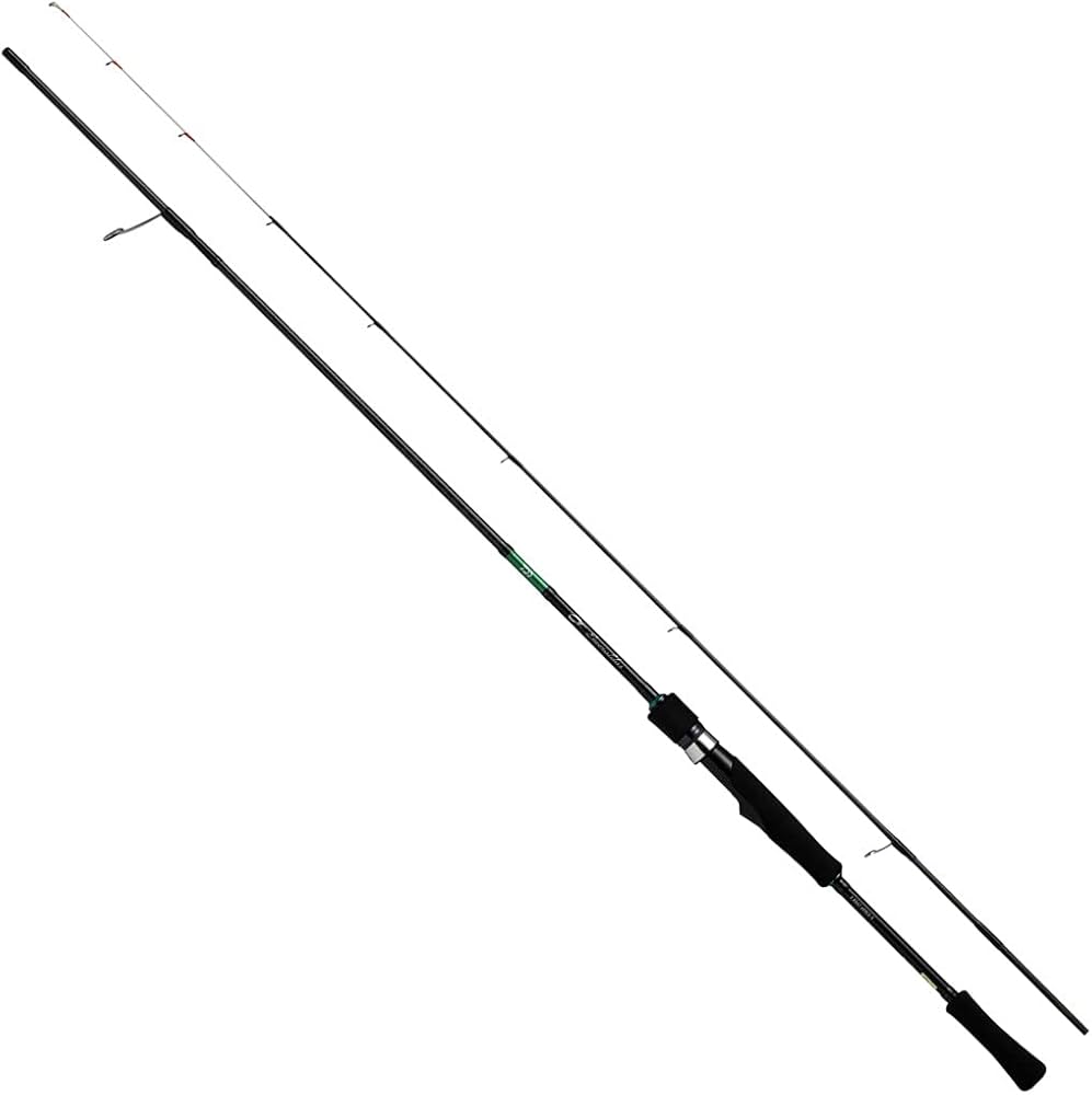 Amazon | ダイワ EMERALDAS X BOAT 65LS-S | ダイワ(DAIWA) | エギング