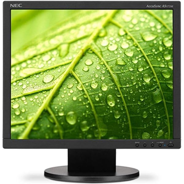 Amazon.co.jp: 液晶ディスプレイ 17型/1280×1024/ブラック LCD-AS173M