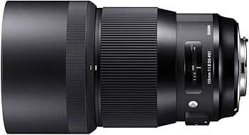 Amazon.co.jp: シグマ(Sigma) SIGMA シグマ Nikon Fマウント レンズ