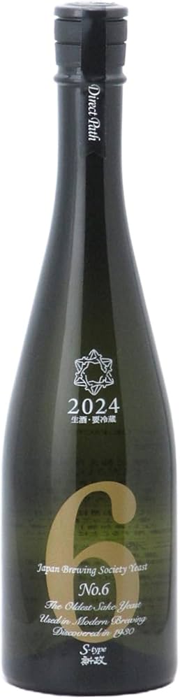 新政No.6 X-type ダイレクトパス 2024年 No.6 S-type Direct Path 2024