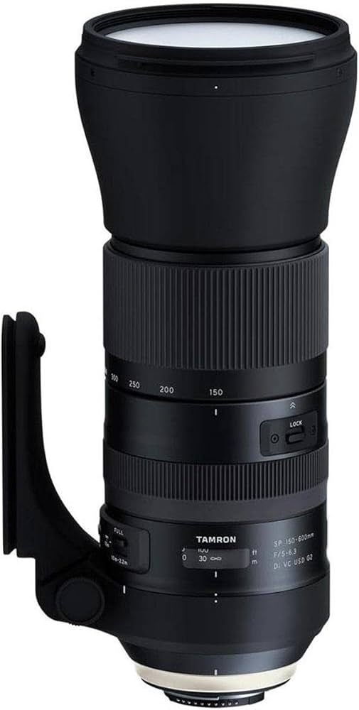 Amazon.com : TAMRON Super Zoom Lens SP 150-600mm F5-6.3 Di VC USD