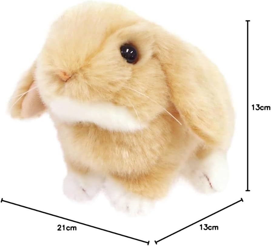 517lpa+dLDL._AC_UF894,