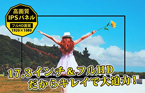 Amazon.co.jp: モバイルモニター フルHD 17.3インチ 3年保証 WT-173SF