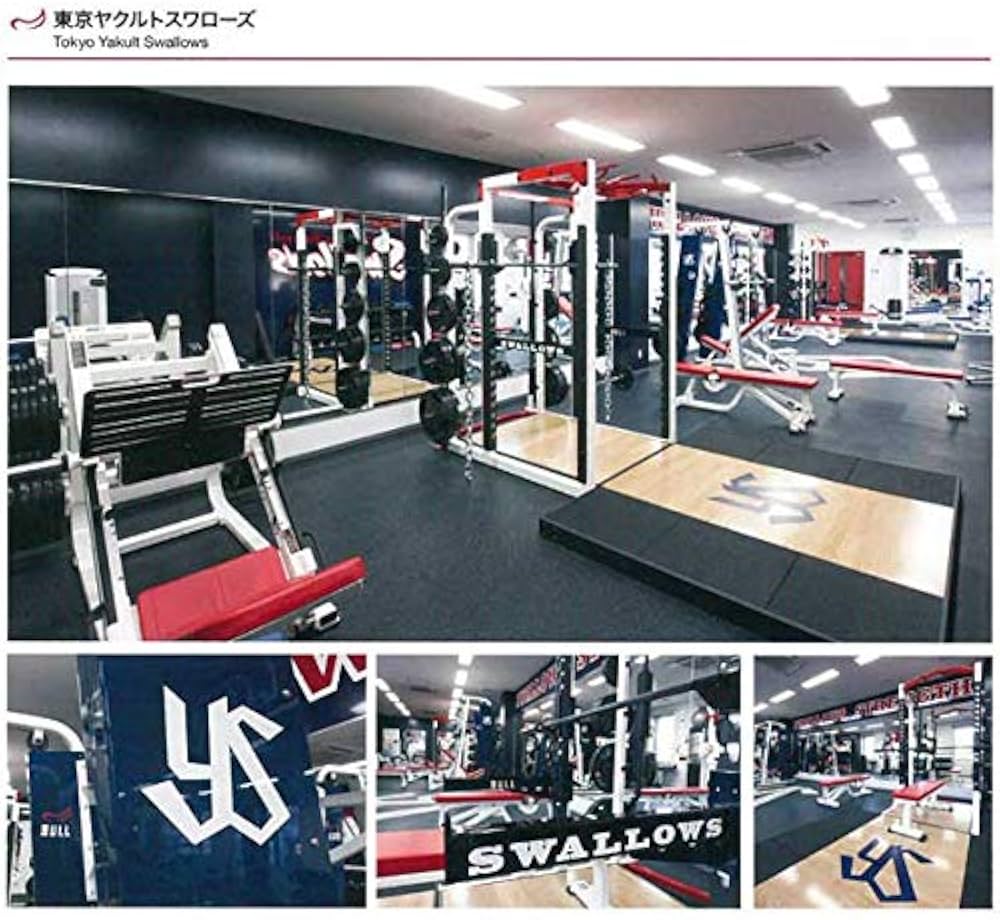 Amazon | BULL Φ50mmラバープレート20kg（2枚1組） BL