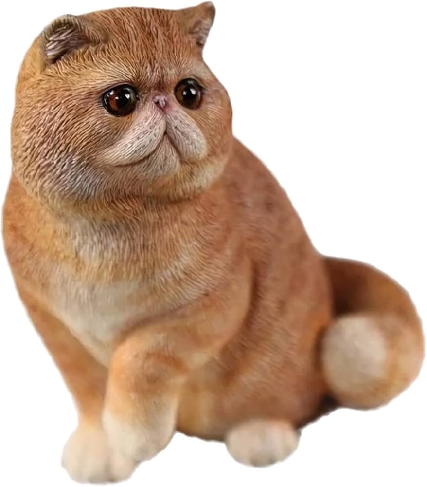 Amazon | Mr.Z 1/6 サイズ エキゾチック・ショートヘア 猫 可愛い 家猫