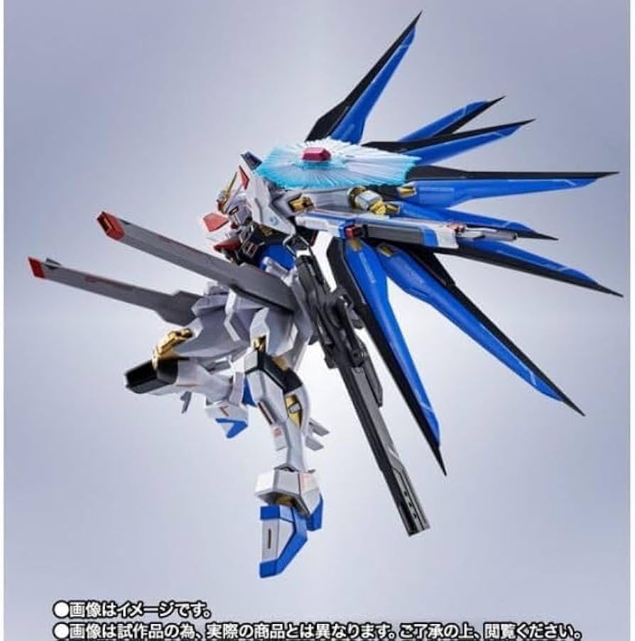 Amazon.co.jp: METAL ROBOT魂 ＜SIDE MS＞ ストライクフリーダム