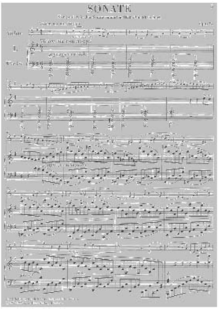 ブラームス : バイオリン・ソナタ集 : Op.78, 100, 108, スケルツォ