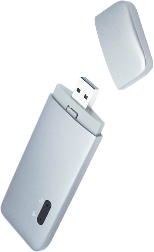 Amazon.co.jp: 【3/1販売開始】ecoco 1年間 100ギガ 付 USB型