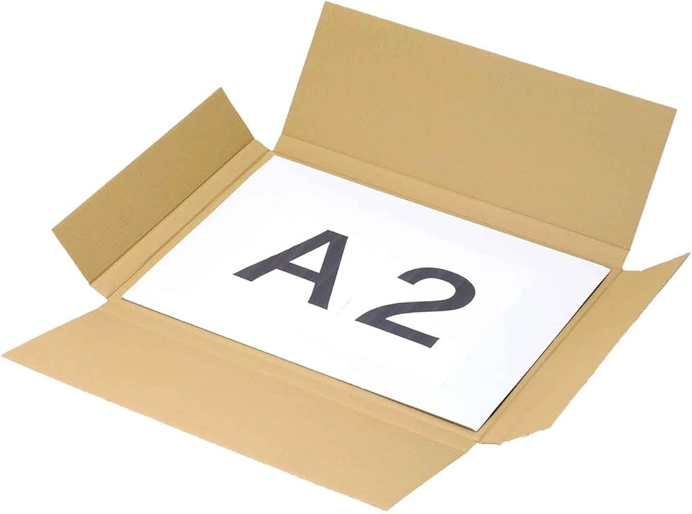 Amazon.co.jp: アースダンボール 120サイズ 薄型 A2対応 10枚 段ボール