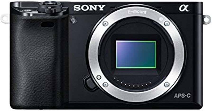 Amazon.com : Sony Alpha a6000 Mirrorless Digital Camera 24.3 MP