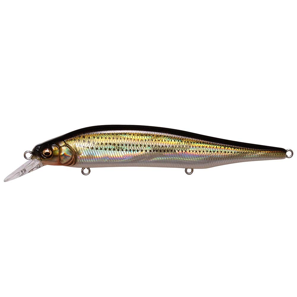 Amazon | メガバス(Megabass) ルアー X-80 MAGNUM(X-80マグナム) GG