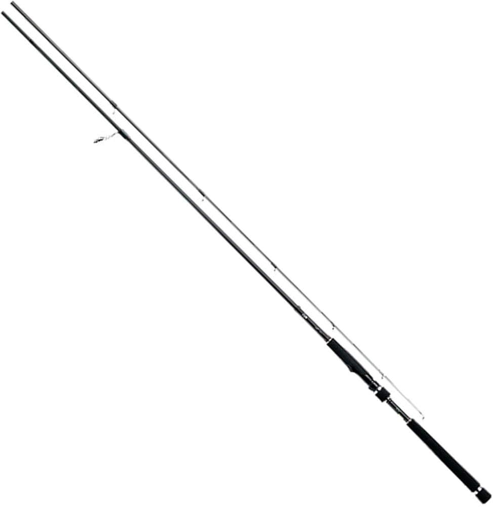 Amazon | ダイワ(DAIWA) シーバスロッド LAZY 90ML 釣り竿 | ダイワ