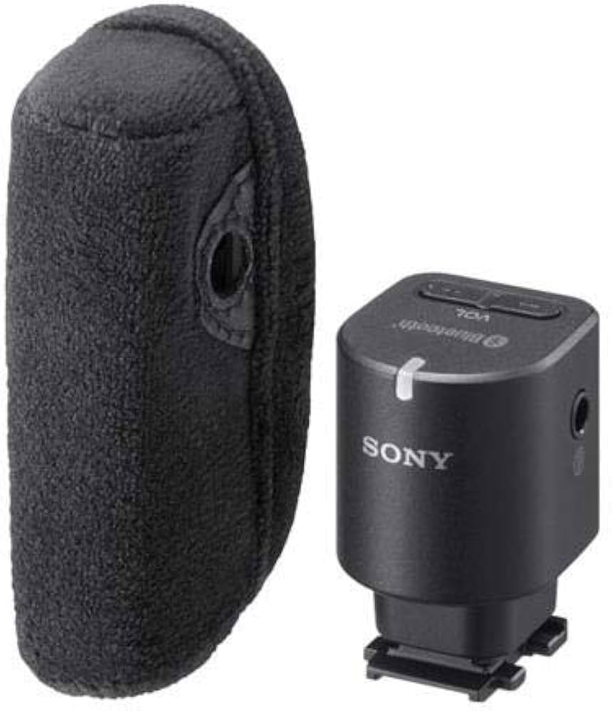 Amazon.co.jp: SONY(ソニー) ワイヤレスマイクロホン ECM-W1M C : 楽器
