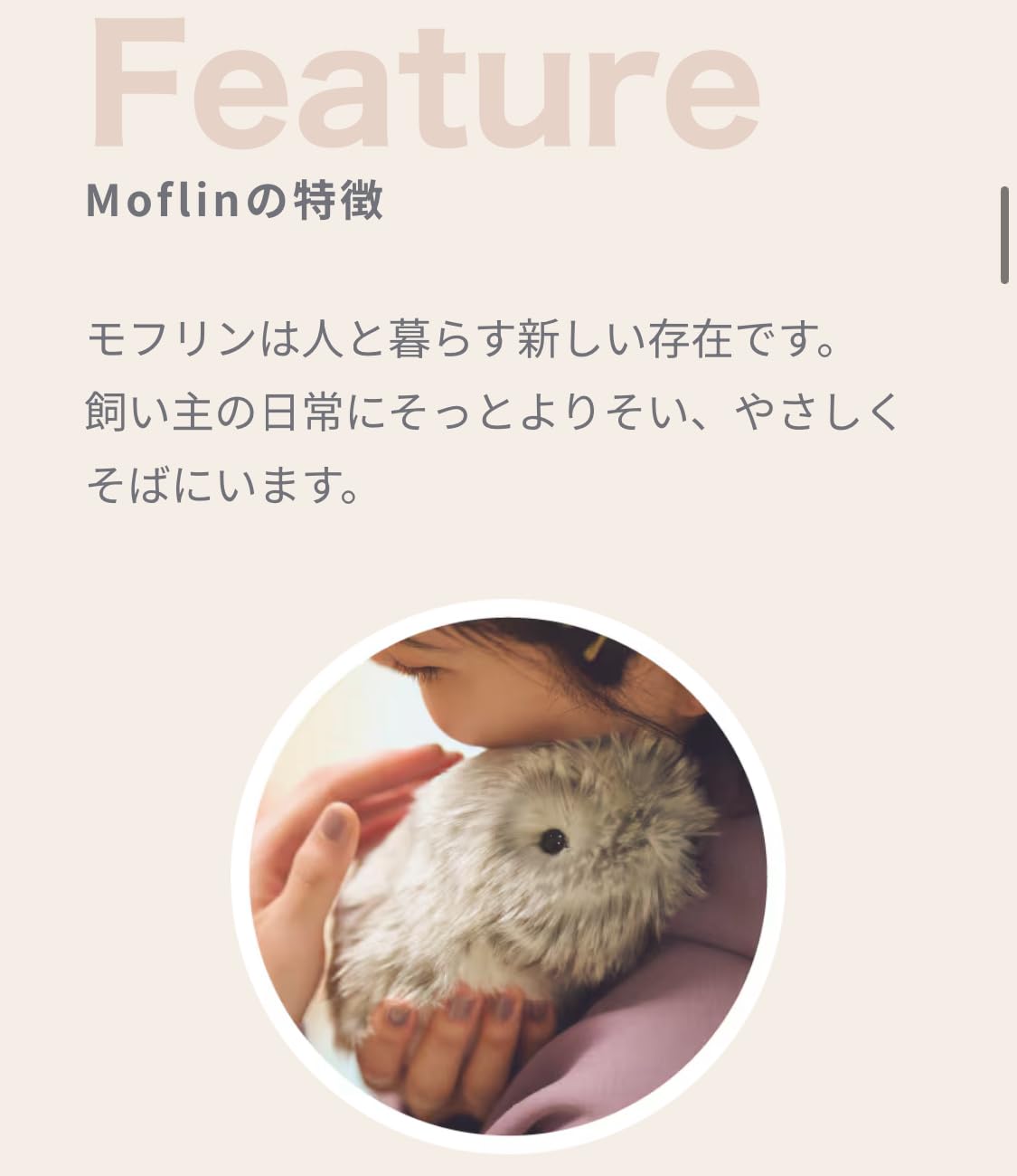 Amazon | カシオのAIペット moflin(モフリン) シルバー | ロボット