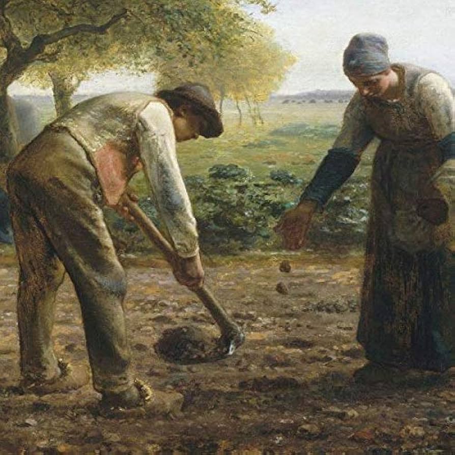 512DIn0AQTL._AC_UF894,