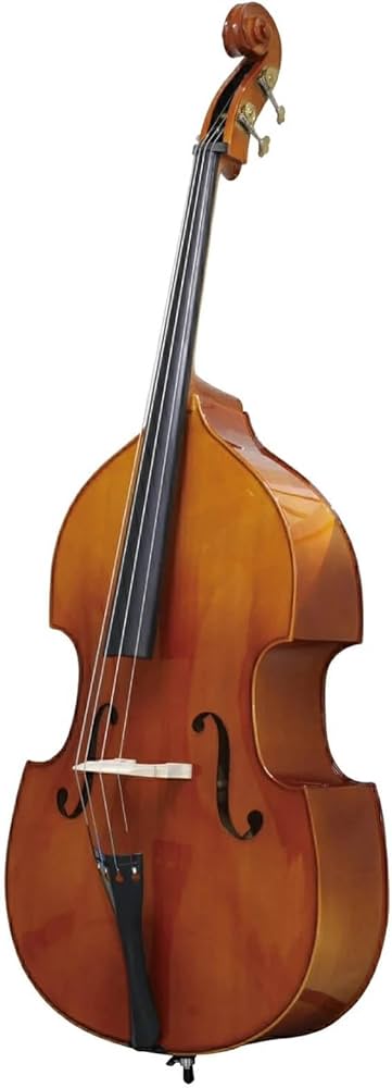 Amazon | STENTOR (スタンター) コントラバス ウッドベース 弦バス