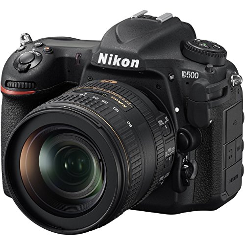 中級者・上級者におすすめ！最強一眼レフカメラ「Nikon（ニコン）D500