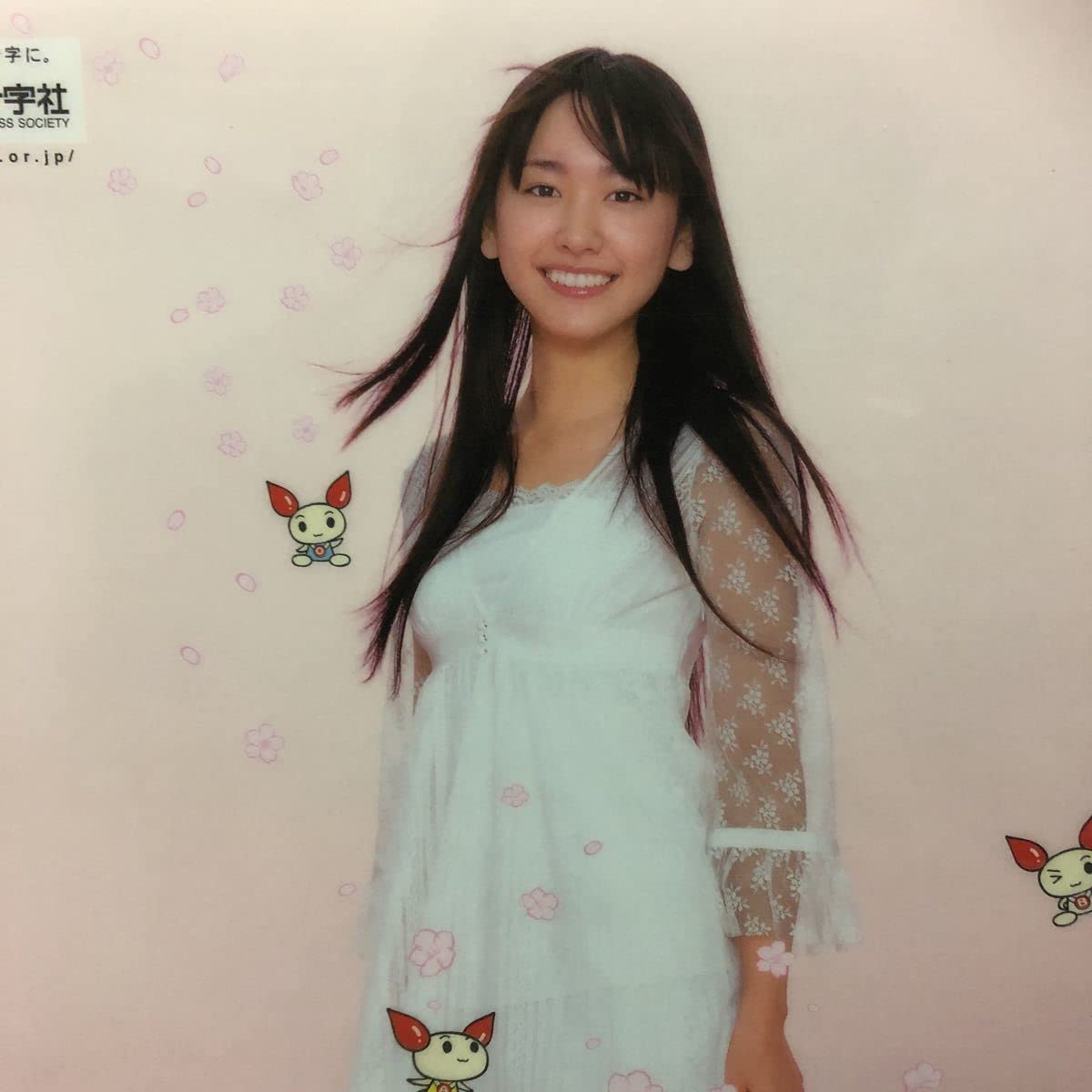 Amazon.co.jp: 新垣結衣 2007年 日本赤十字 春の献血キャンペーン 限定