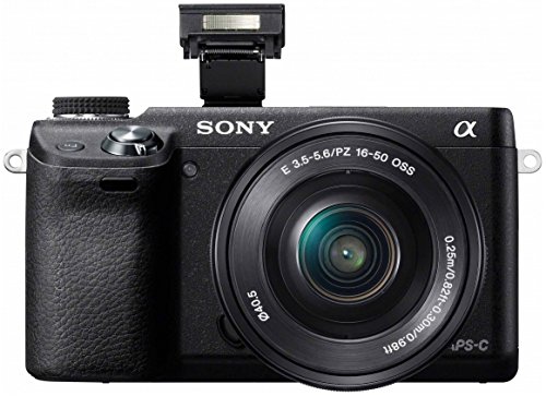 Amazon | SONY ミラーレス一眼カメラ α NEX-6ダブルズームレンズキット