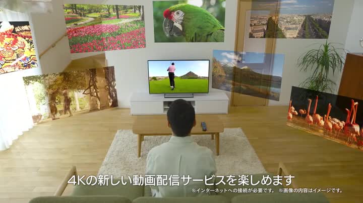 Amazon | パナソニック 49V型 液晶 テレビ ビエラ TH-49DX600 4K USB