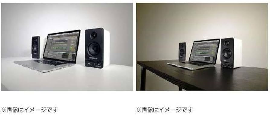 Amazon.co.jp: ローランド モニタースピーカーRoland STEREO MICRO