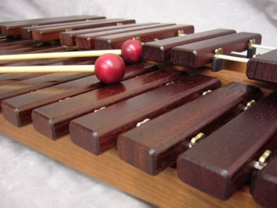 Amazon | コオロギ シロフォン 高級卓上木琴 ECO32 ソフトケース