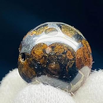 Amazon.co.jp: 【鑑別書選択可能】 パラサイト隕石 15.4㍉ 男女兼用