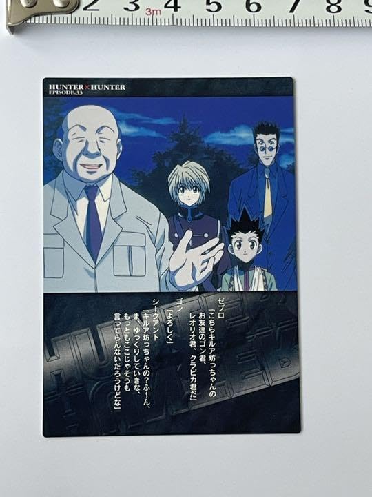 Amazon.co.jp: 希少品 HUNTER×HUNTER カードダスマスターズ ゼブロ