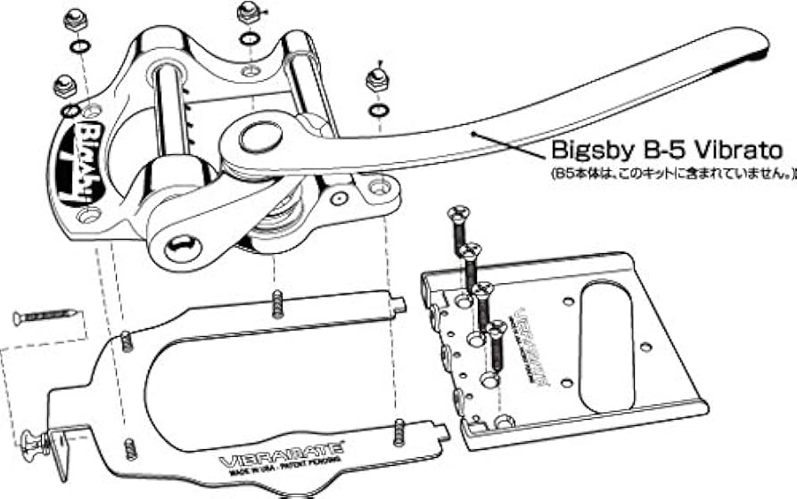 Amazon.co.jp: 【国内正規品】 VIBRAMATE ヴィブラメイト / V5-TEV-2