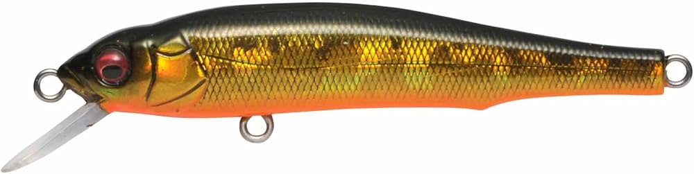 Amazon.co.jp: メガバス(Megabass) ルアー X70 SP 05GG メガバス