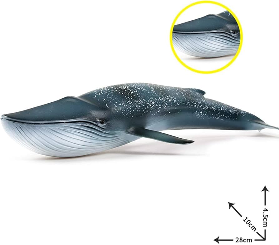 51xsVLSegpL._AC_UF894,