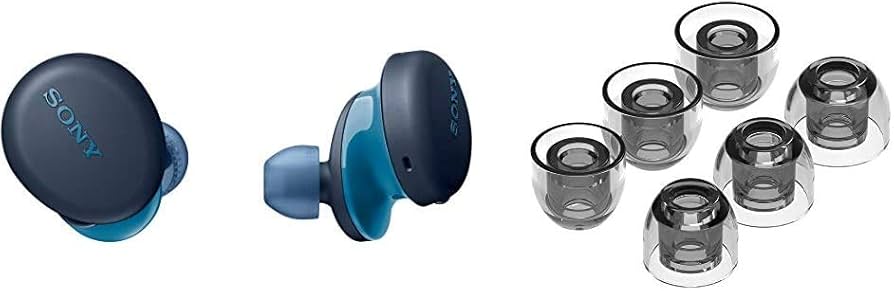 Amazon.co.jp: ソニー 完全ワイヤレスイヤホン ブルー WF-XB700 L +