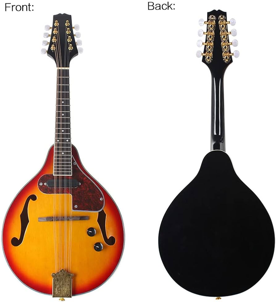 Amazon | 電子マンドリン, セット 8弦 マンドリン A-スタイル 弦楽器