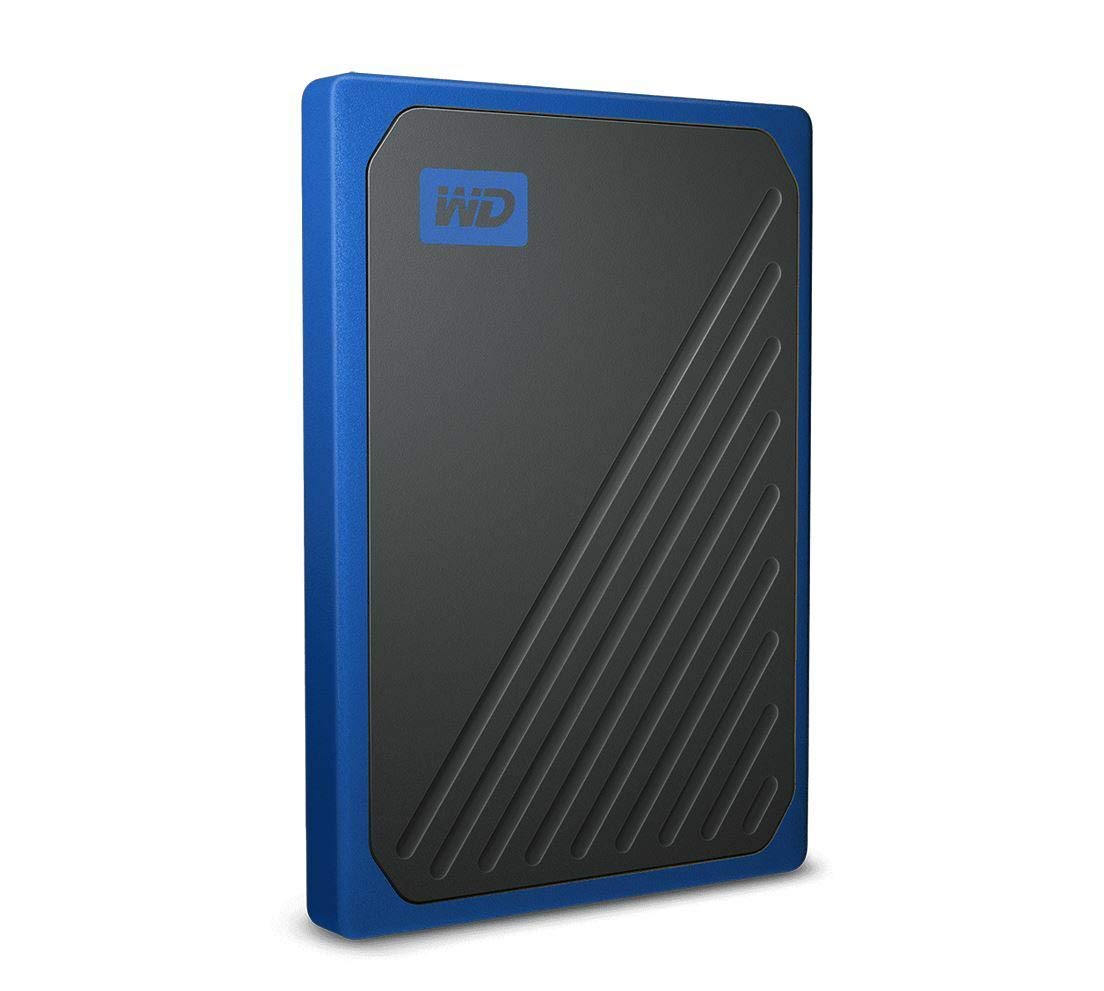 Amazon.co.jp: WD ポータブルSSD 1TB USB3.0 ブルー My Passport Go 外