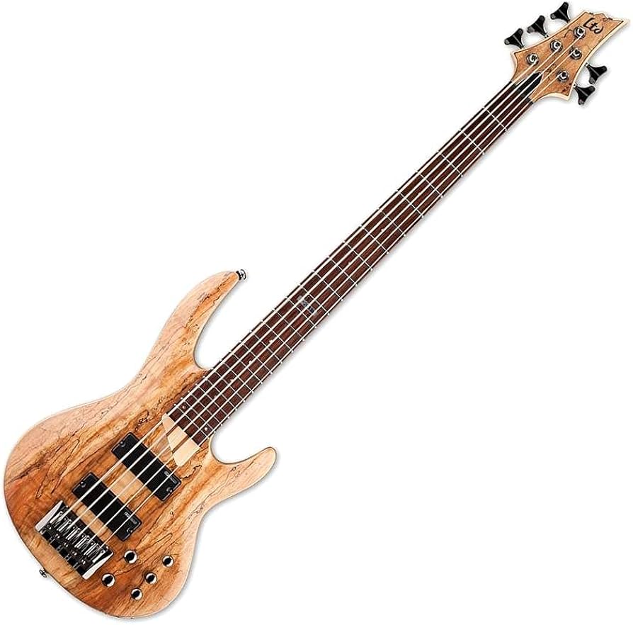 Amazon.com: ESP LTD B-205 5-string Bass Guitar - Natural Satin