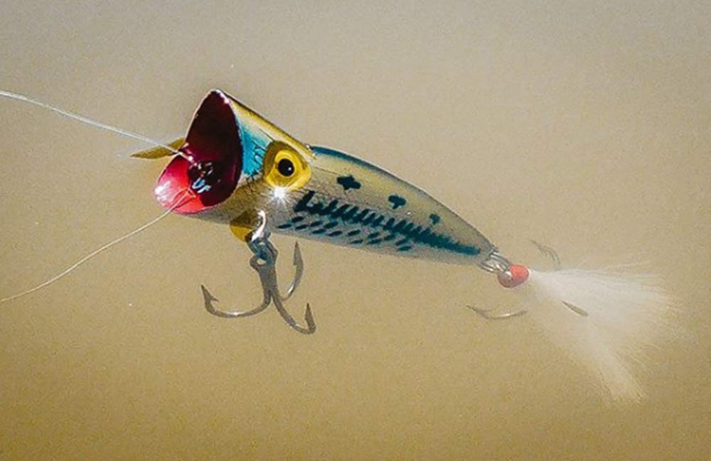 Amazon.co.jp: REBEL(レーベル)ポップR P60 56 : スポーツ＆アウトドア