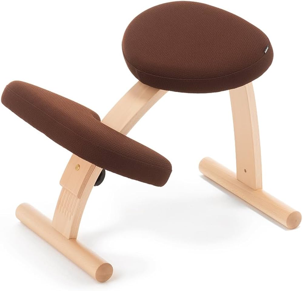 Amazon.co.jp: バランスラボ バランスイージー ショートフレーム 通常