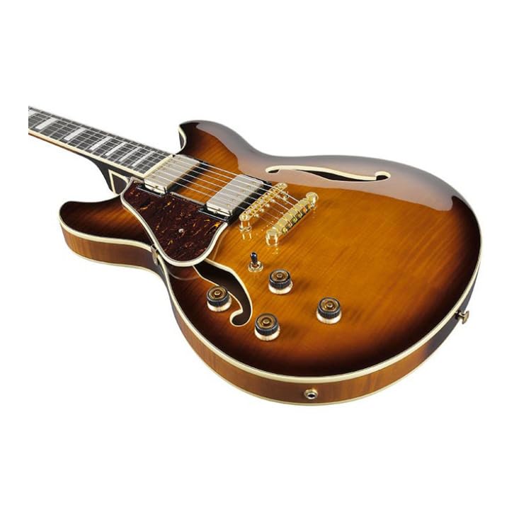 Amazon | Ibanez アイバニーズ Artcoreシリーズ セミ・ホロウ・ギター