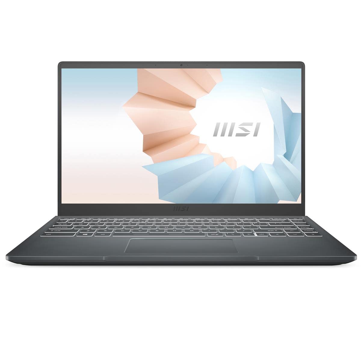 Amazon.com: msi Modern 14B Thin and Light Daily Laptop: 14