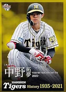 51CLTOyEJEL._AC_UF350,