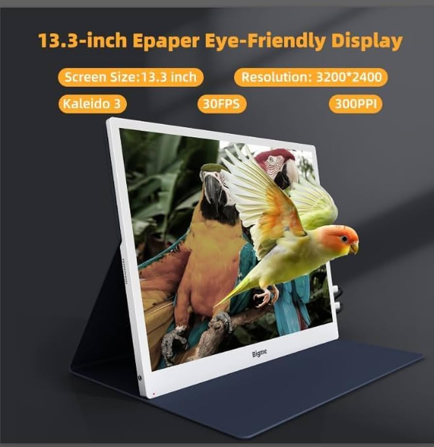 Amazon.com: Bigme B13 Color Epaper Monitor 13.3 Inch, 2 x Type C